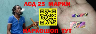 индика Новозыбков