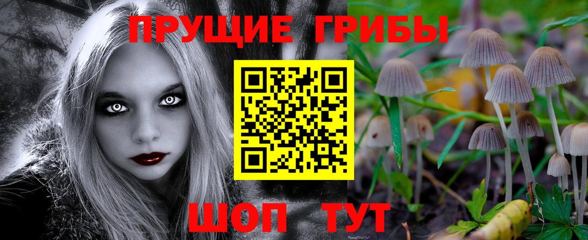 Псилоцибиновые грибы Cubensis  Вход с VPN  Рузаевка 